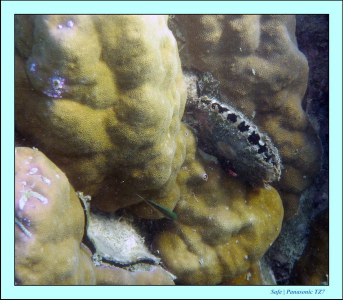 2011 - 03 - Koh Ngai 082